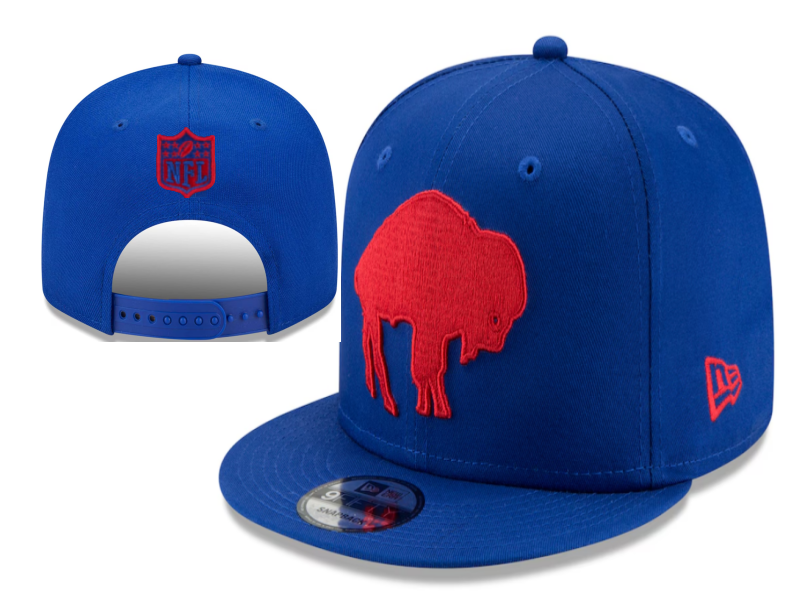 2025 NFL Detroit Lions hat 065